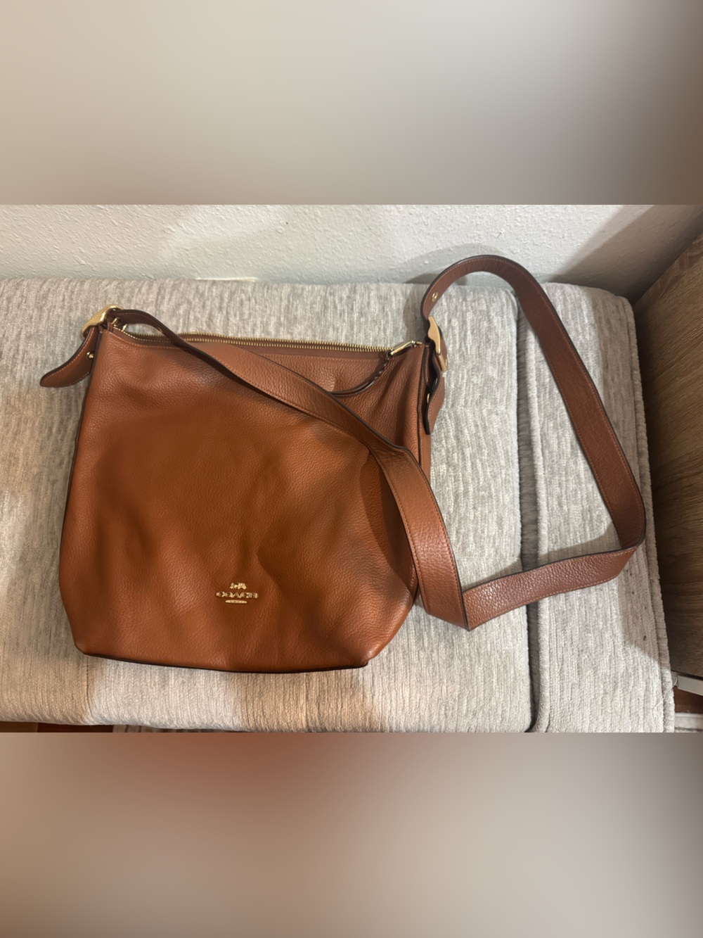 Coach Pebbled Leather Bag in Brown